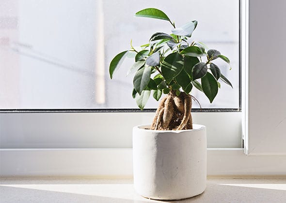 Fensteröffnungsarten für PVC-Fenster
